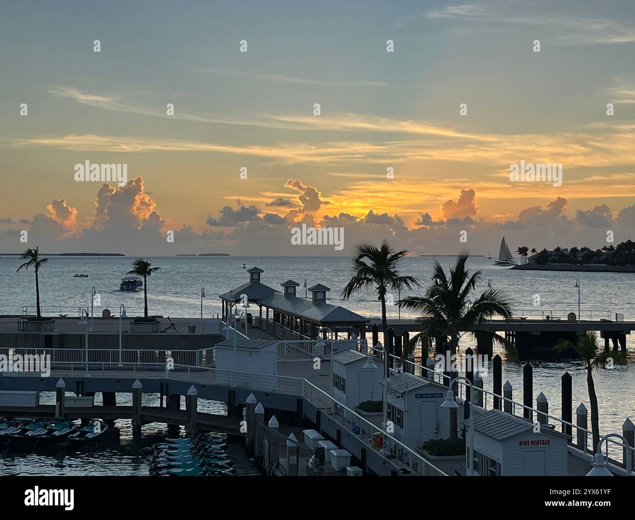 Scenic Oceanfront Sunset with Palm Trees and Pier in Tropical Paradise - Smartphone Captured Stock Image