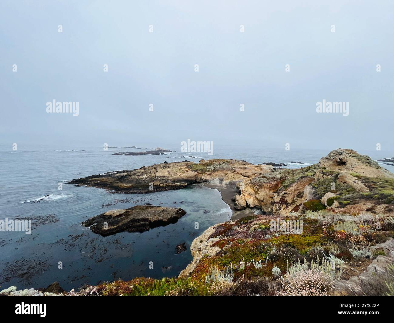 Foggy Coastal Landscape with Rocky Shores and Calm Waters - Smartphone Captured Stock Image