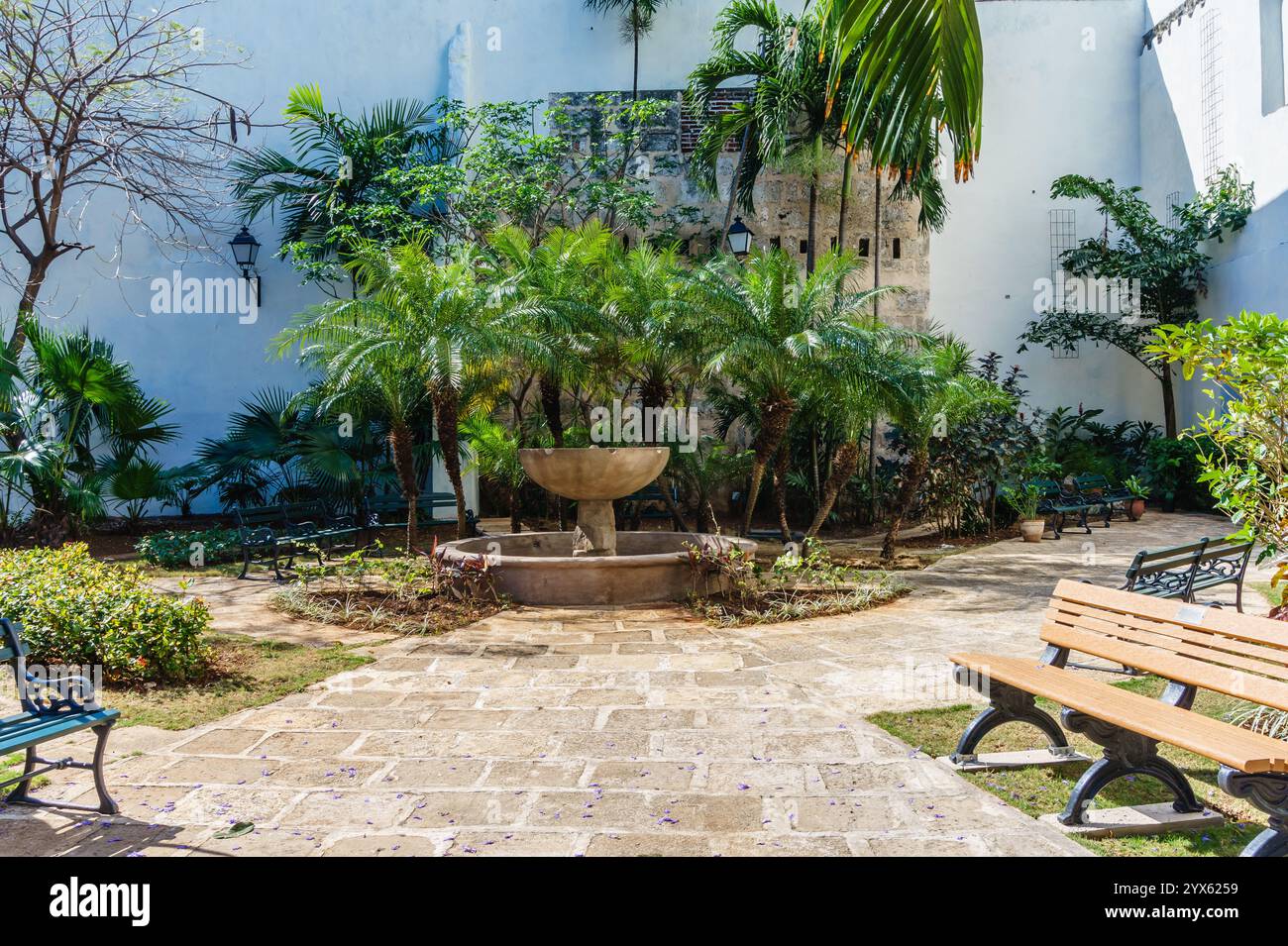 Green beautiful courtyard bench hi-res stock photography and images - Alamy