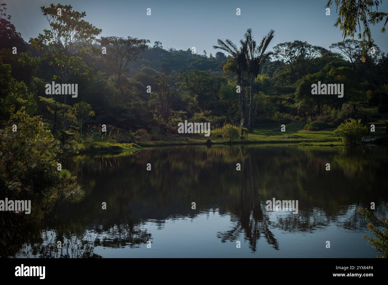 Scenic view of the lake in Vumba Botanical Gardens and Reserve, Eastern Highlands, Mutare, Manicaland Province, Zimbabwe. Stock Photo