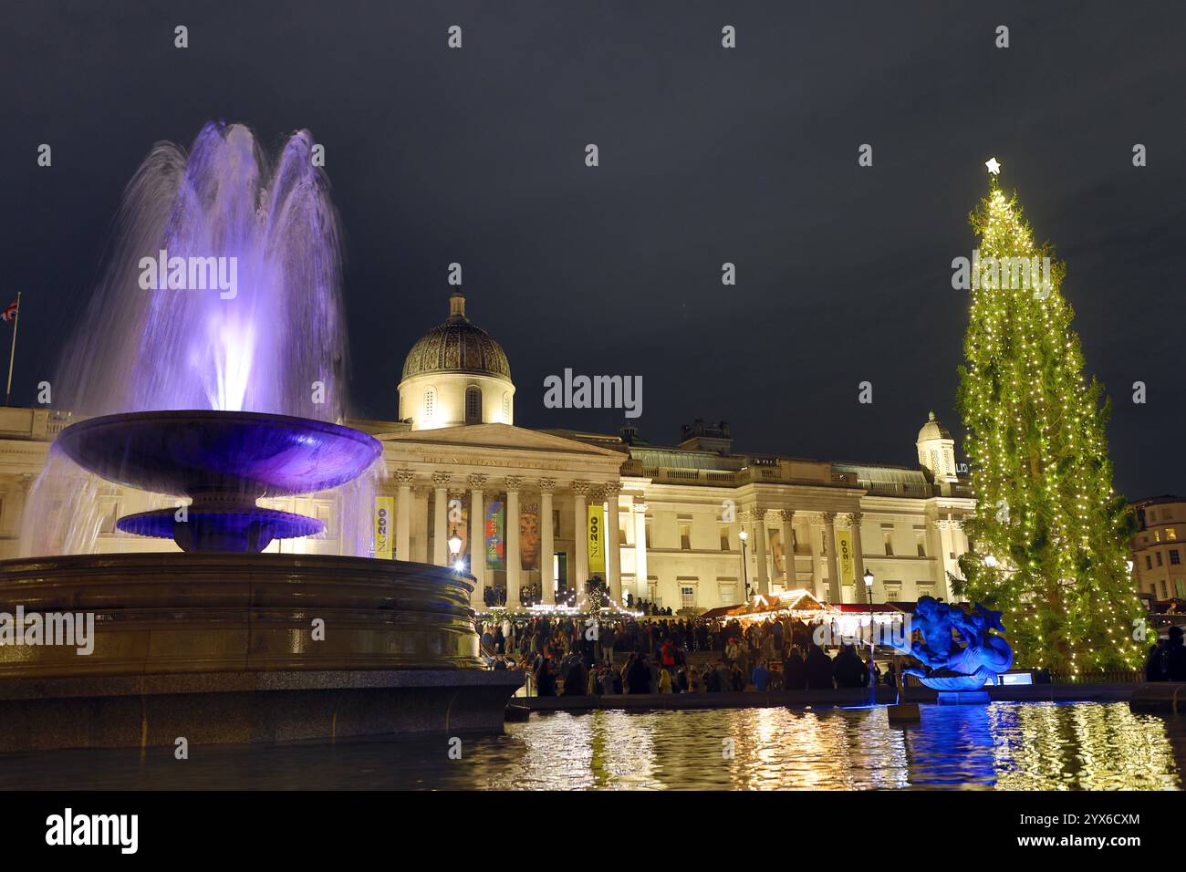 trafalgar-square-christmas-tree-london-england-for-2024-stock-photo