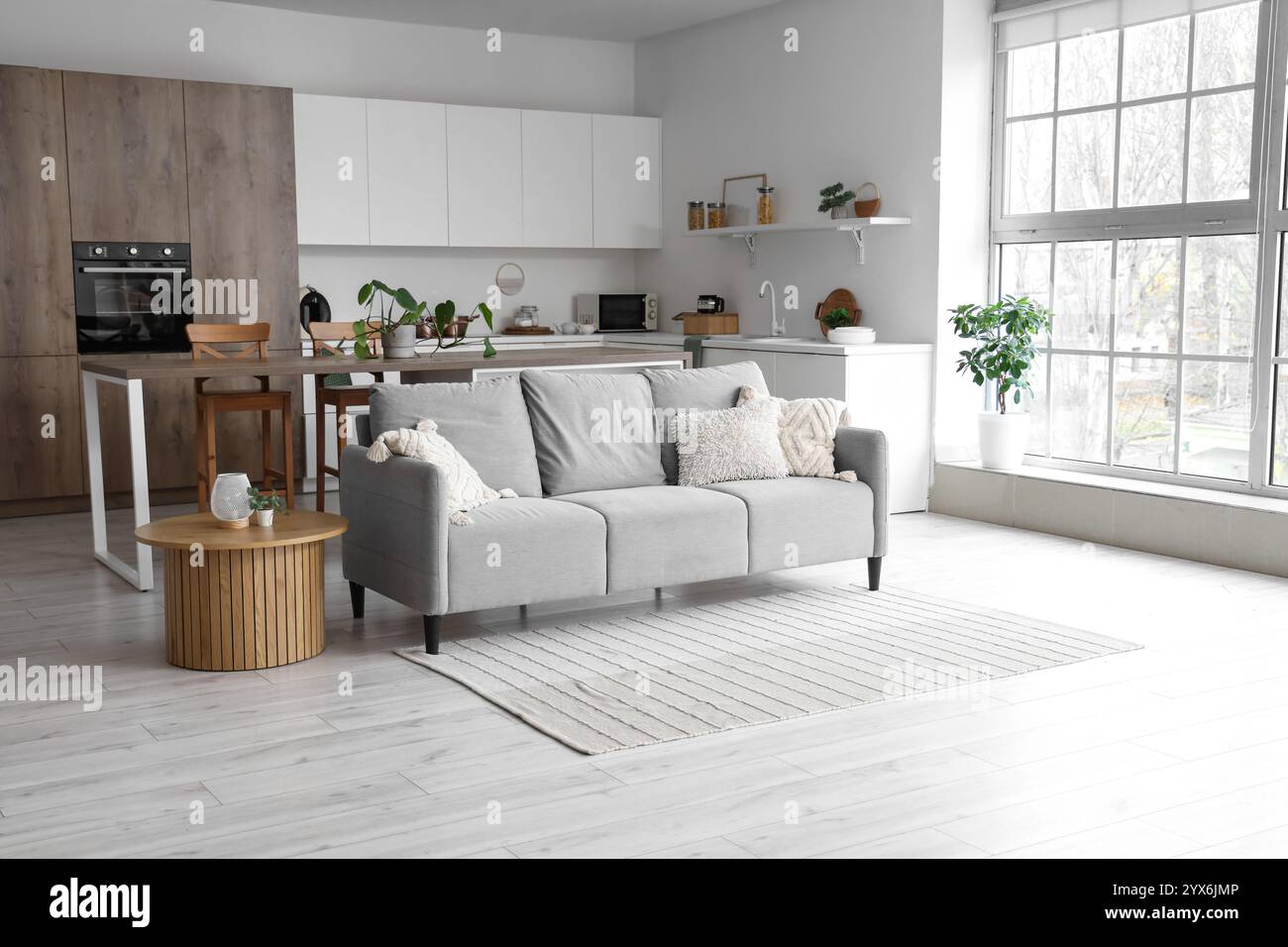 Interior of light kitchen with grey sofa, counters and plants Stock ...