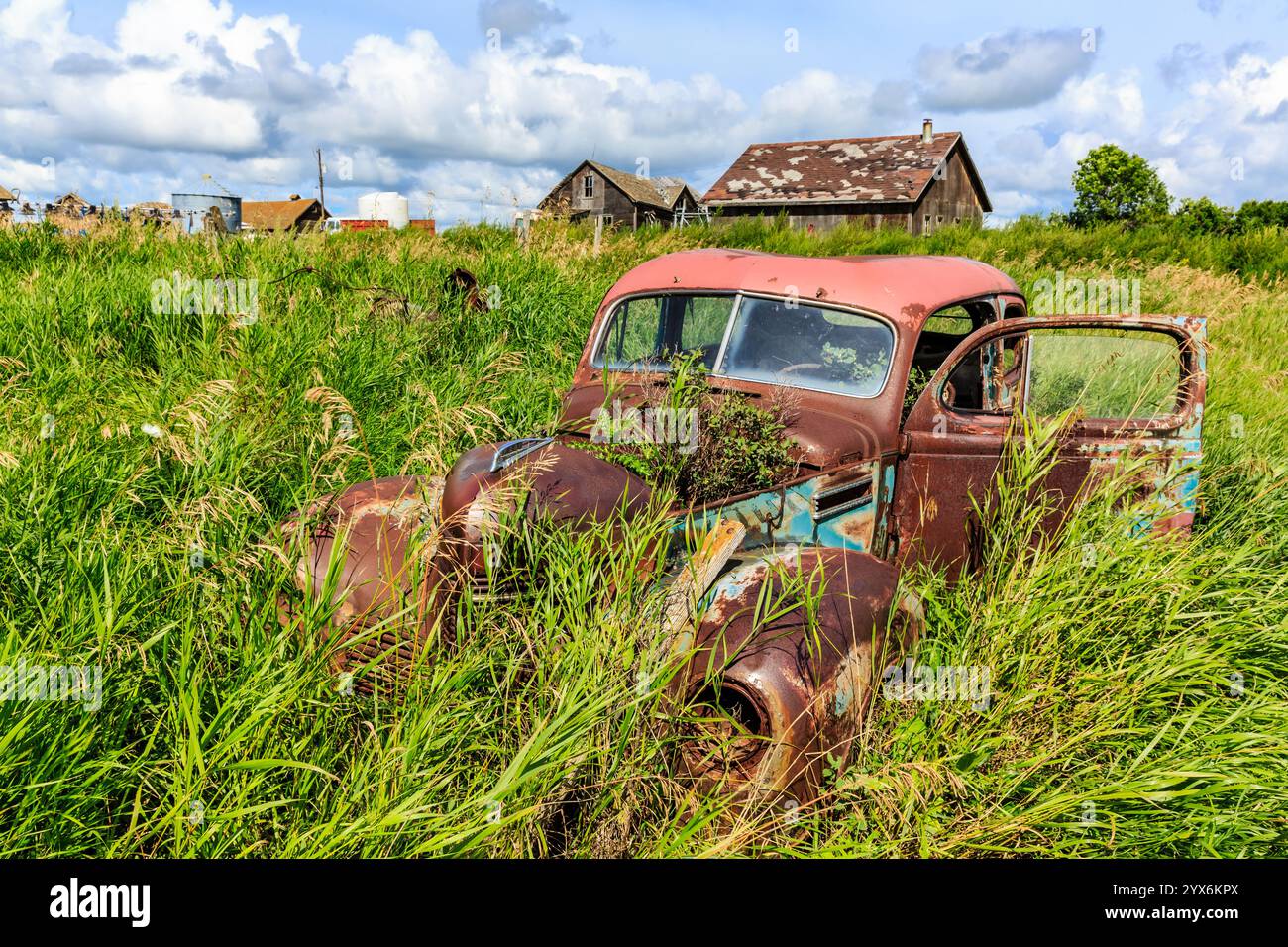 An old car is sitting in a field of tall grass. The car is rusted and ...