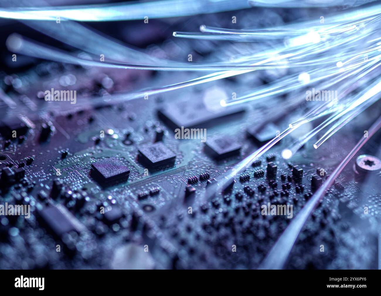 Data transfer, conceptual image. Fibre optics and circuit board. Stock Photo