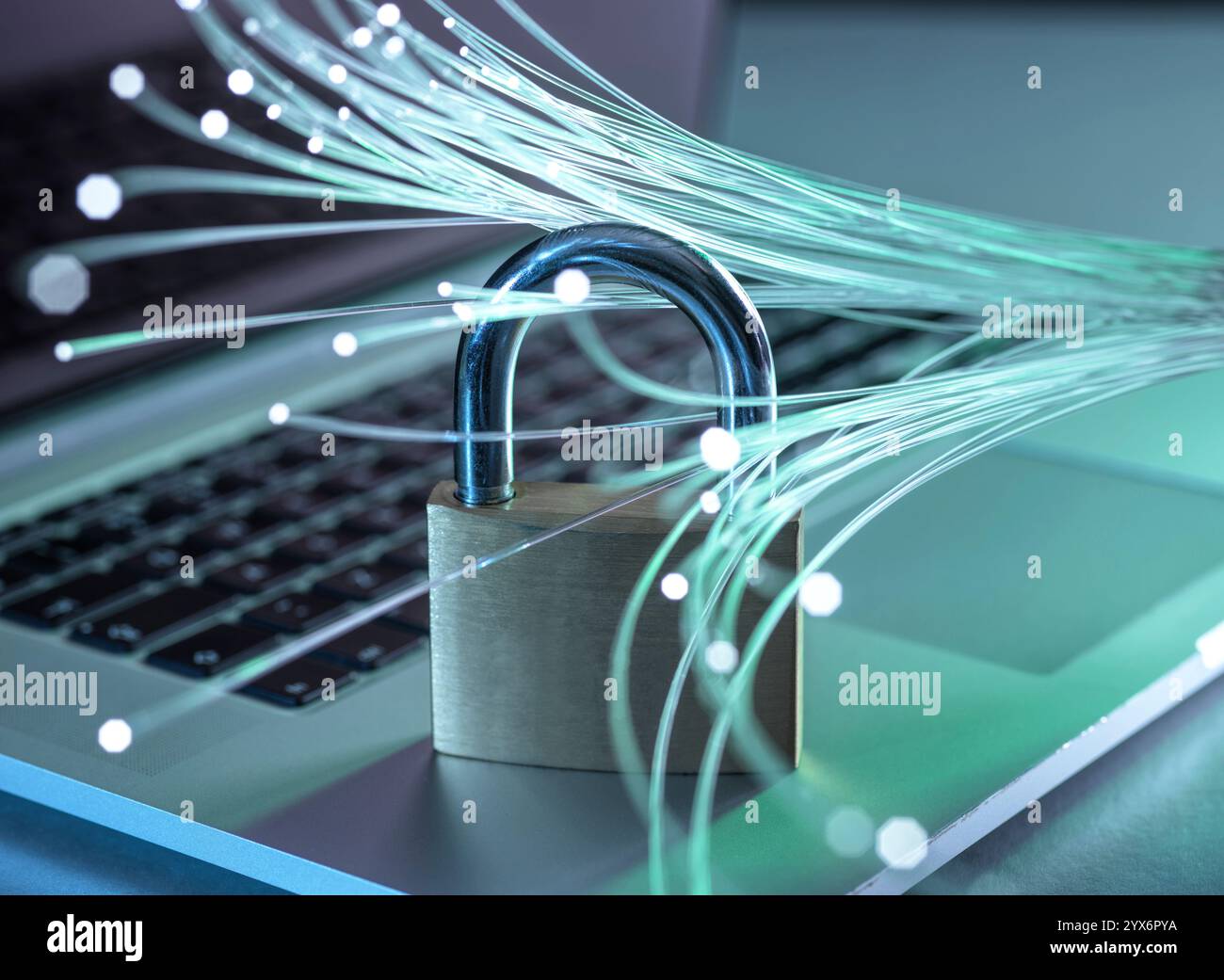 Cyber security, conceptual image. Stock Photo