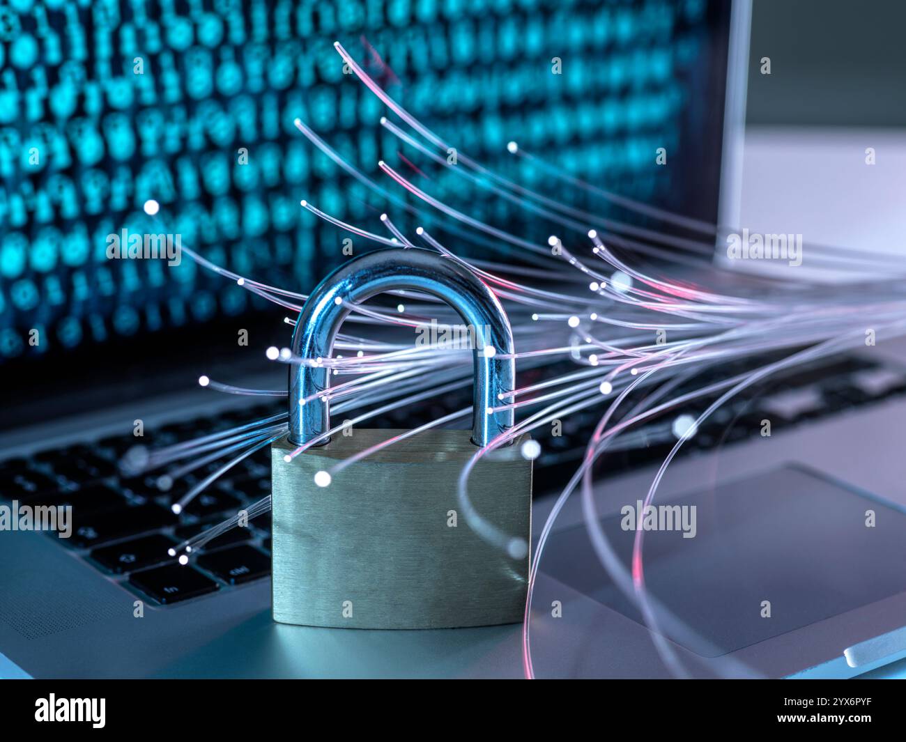 Cyber security, conceptual image. Stock Photo