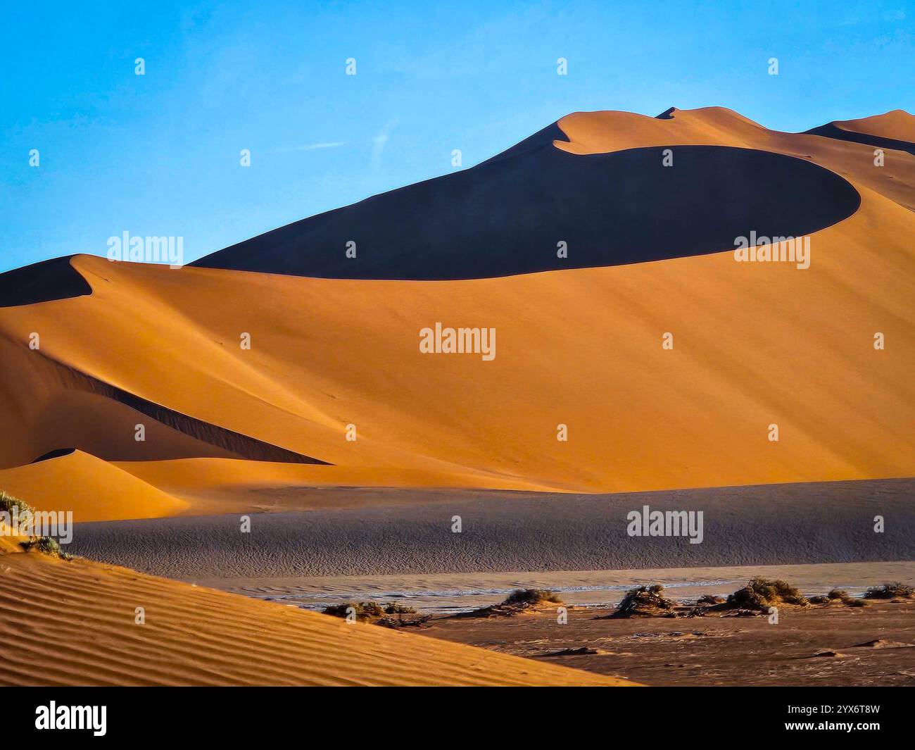 Deadvlei, dead trees and sand dunes in Sossusvlei, Namib Naukluft ...