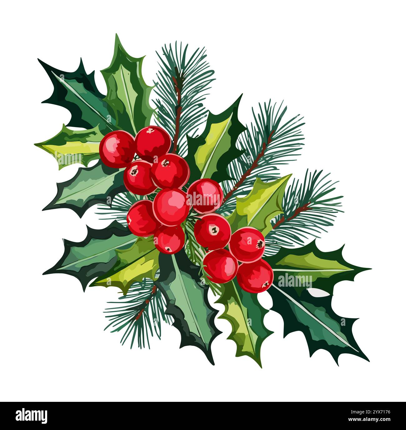 Christmas corner arrangement with winter fir holly Stock Vector Image ...