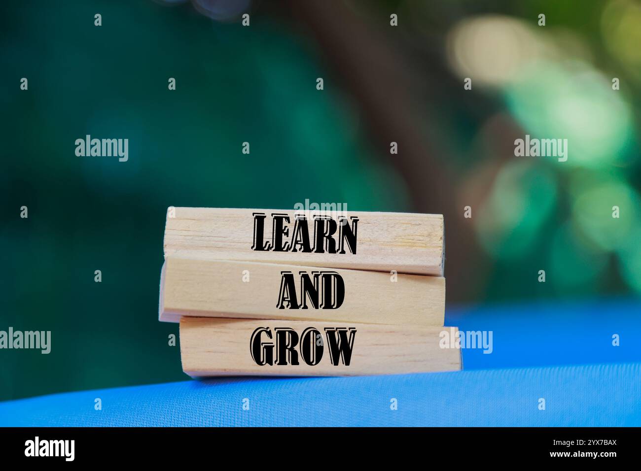 Learn and grow symbol. Concept words 'Learn and grow' on wooden blocks ...