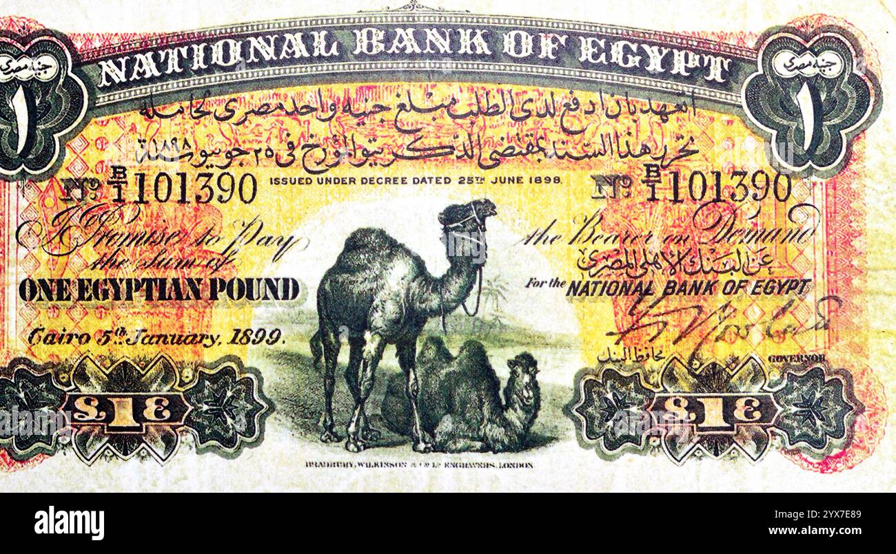 First bank note hi-res stock photography and images - Alamy
