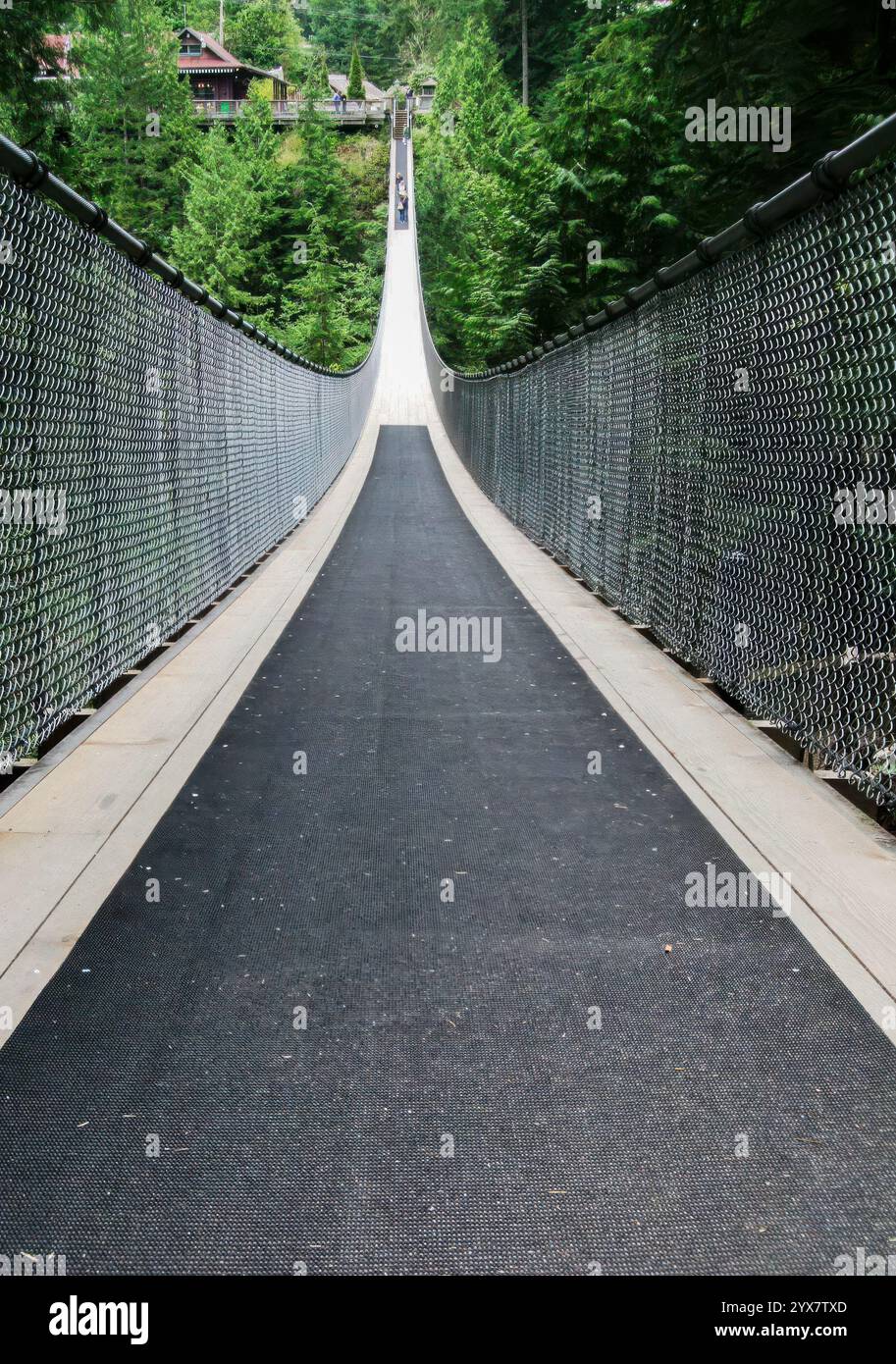 Capilano Suspension Bridge Park, with precarious footbridge over gorge, British Columbia, Canada Stock Photo