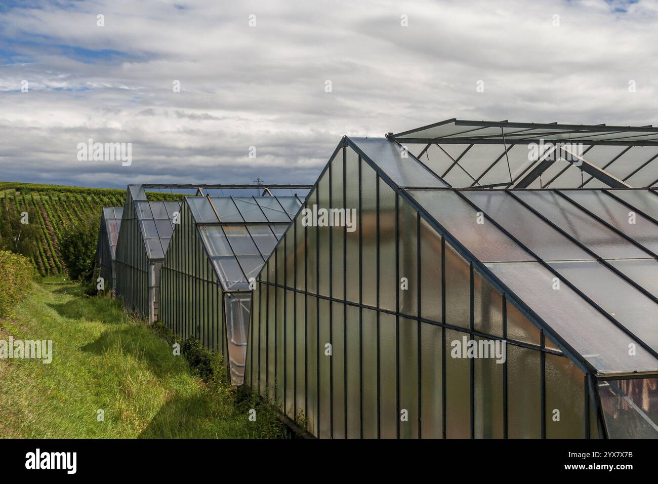 Several greenhouses glass roofs hi-res stock photography and images - Alamy