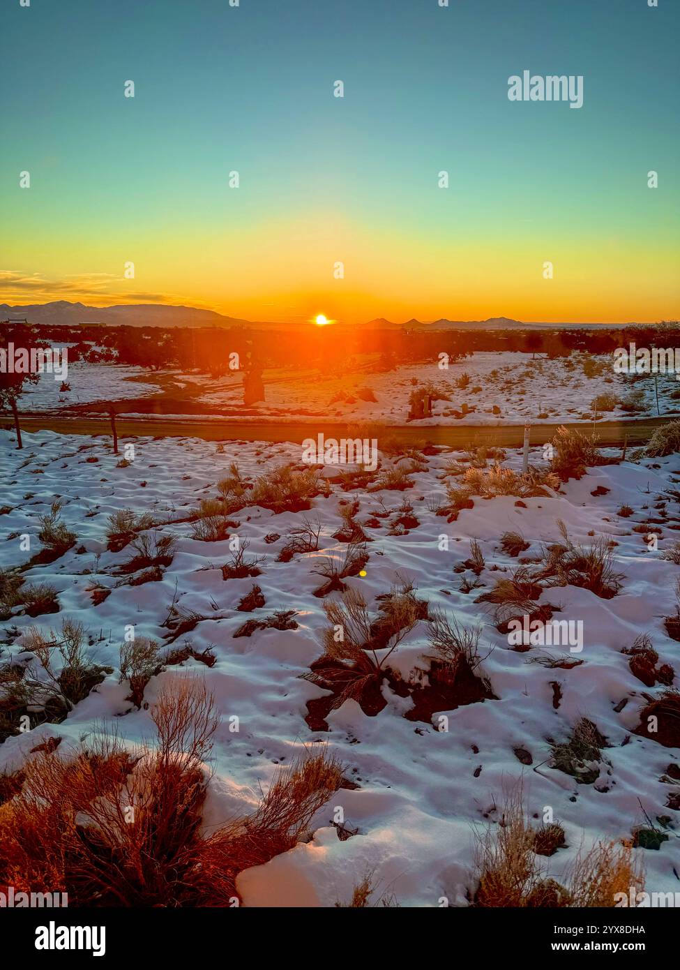 A breathtaking winter sunset casts a golden glow over a serene, snow-covered landscape, capturing the quiet beauty of nature in its purest form. - Smartphone Captured Stock Image