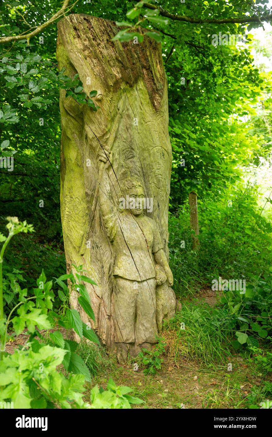 Carving in a tree near Bury Ditches hill fort, Shropshire, England, UK Stock Photo