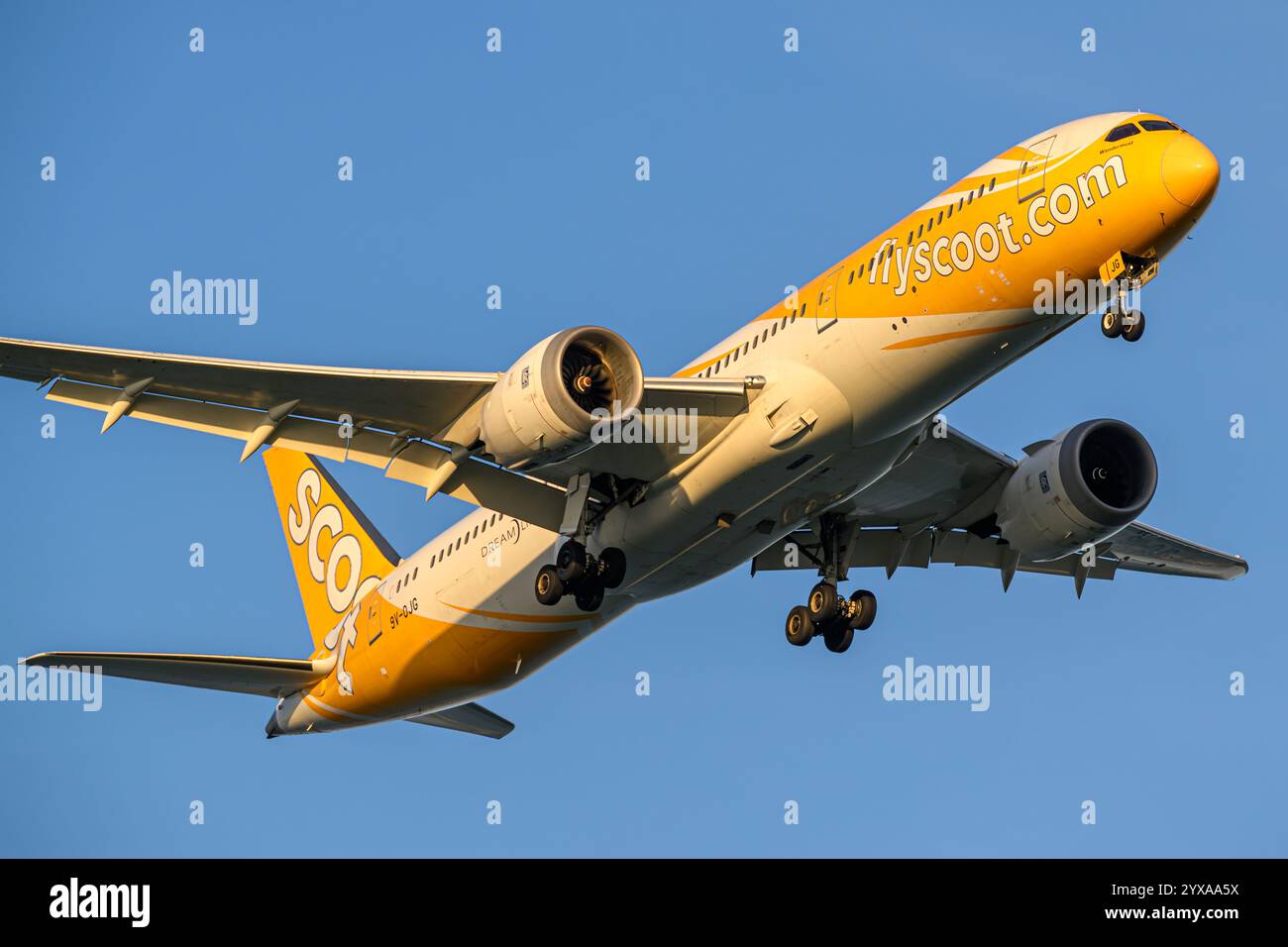 Ojg hi-res stock photography and images - Alamy Ojg hi-res stock photography and images - Alamy