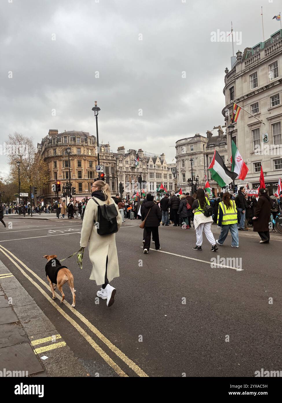 A protest march in London with people holding flags and signs, featuring historic buildings and a person walking their dog in the foreground. - Smartphone Captured Stock Image