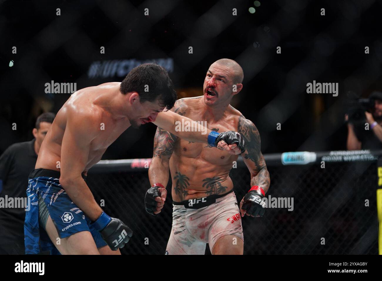 Tampa, Florida, United States. 15th Dec, 2024. TAMPA, FL -DECEMBER 15:Cub Swanson and Billy Quarantillo meet in the octagon for a 3-round featherweight bout during UFC Fight Night - Covington vs Buckley at Amalie Arena on December 15, 2024 in Tampa, Florida (Photo by Jordan Herald/PxImages) Credit: Px Images/Alamy Live News Stock Photo