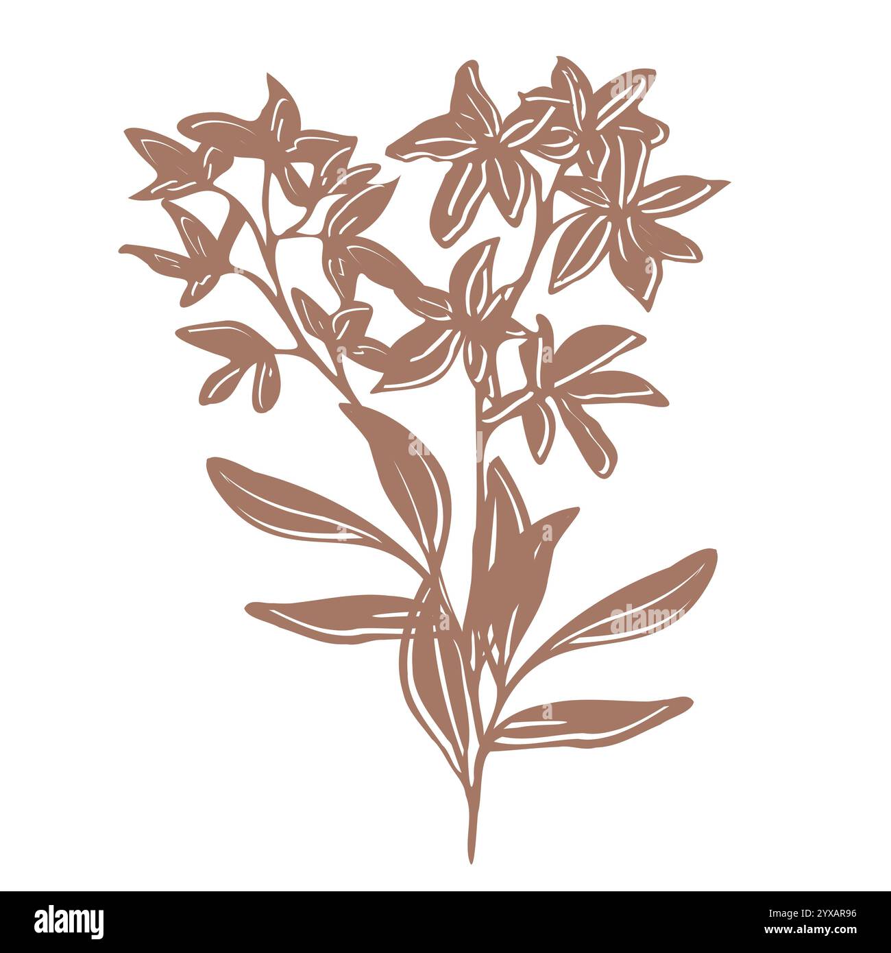 Thin line flowers leaves Stock Vector Images - Alamy