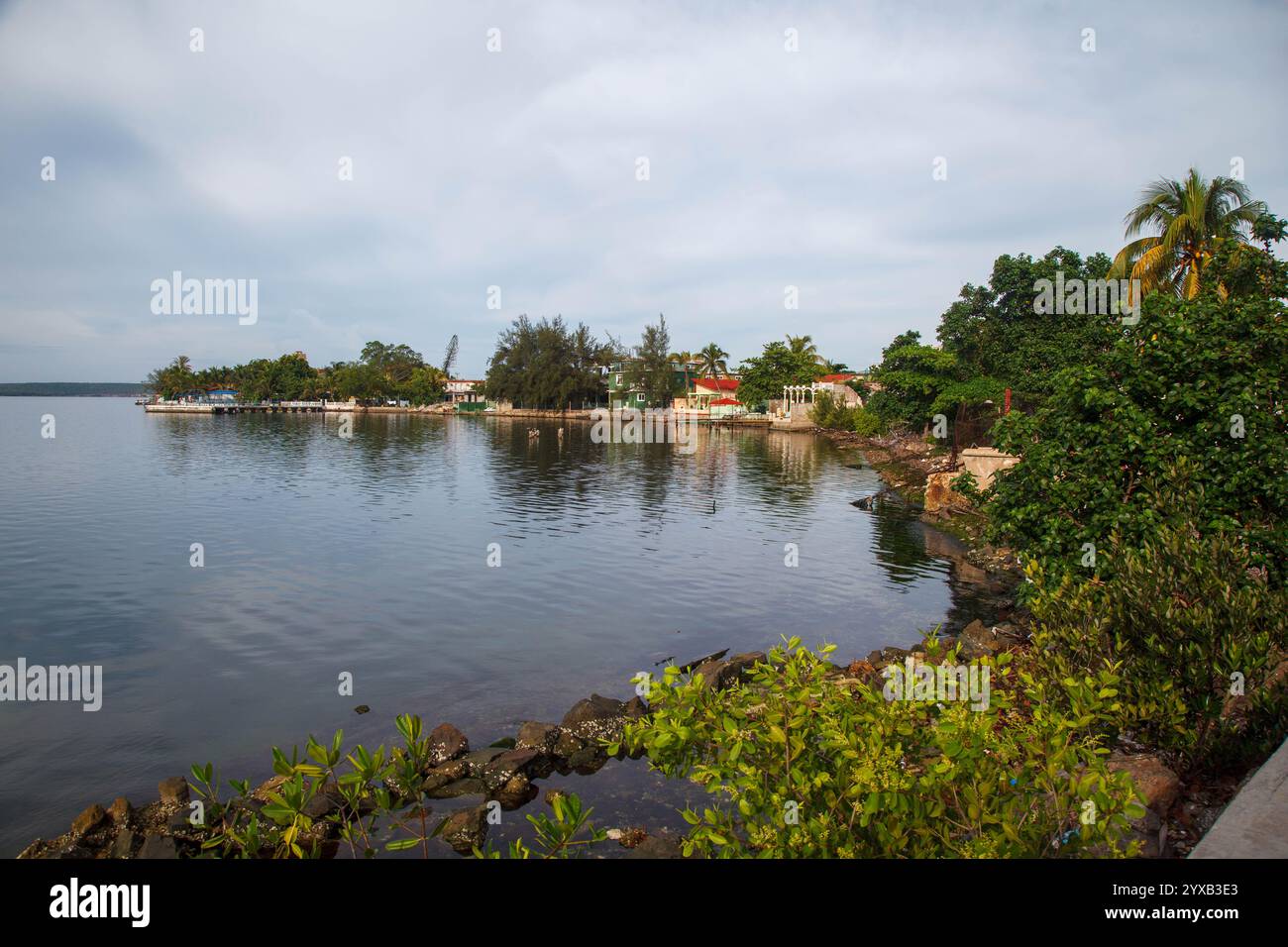 the-punta-gorda-peninsula-at-bahia-de-cienfuegos-cuba-stock-photo-alamy