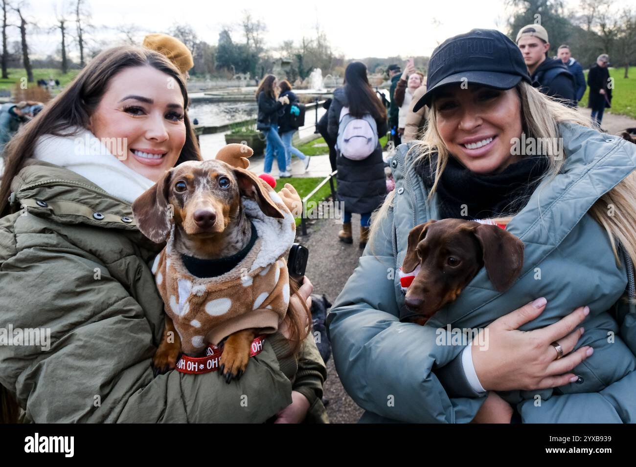 Hyde Park, London, UK. 15th Dec 2024. Hundreds of Dachshund dogs at the