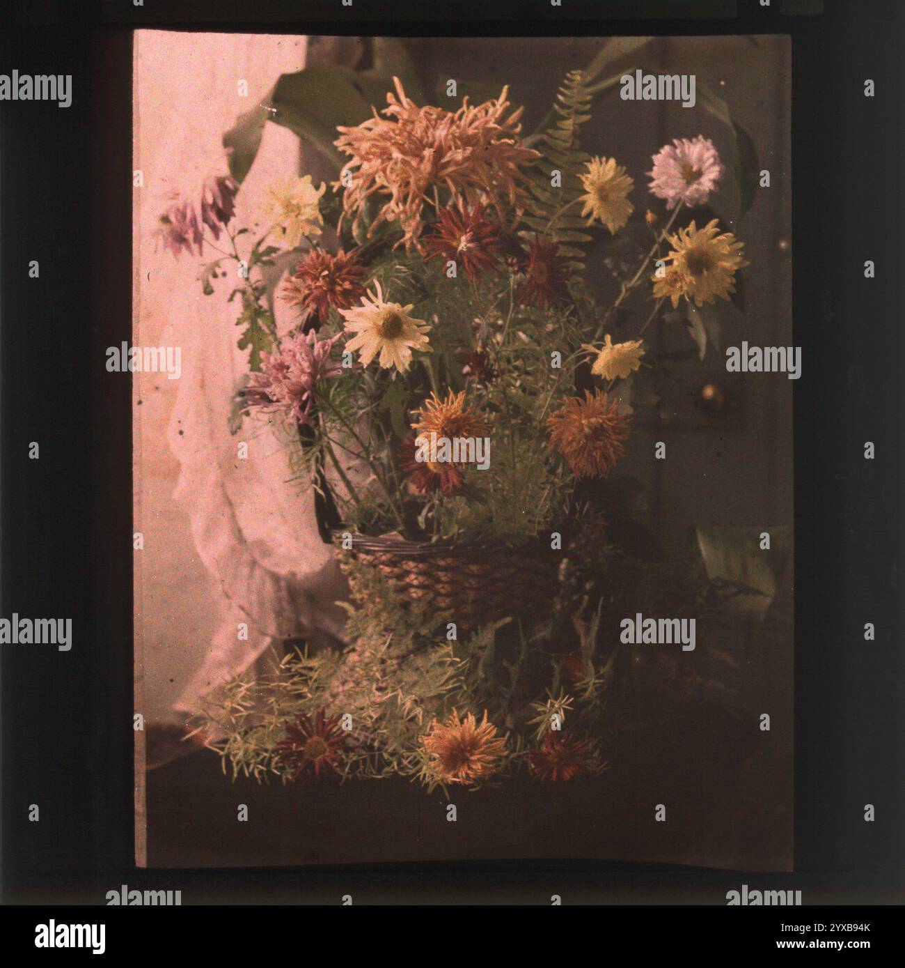Autochrome plates hi-res stock photography and images - Alamy