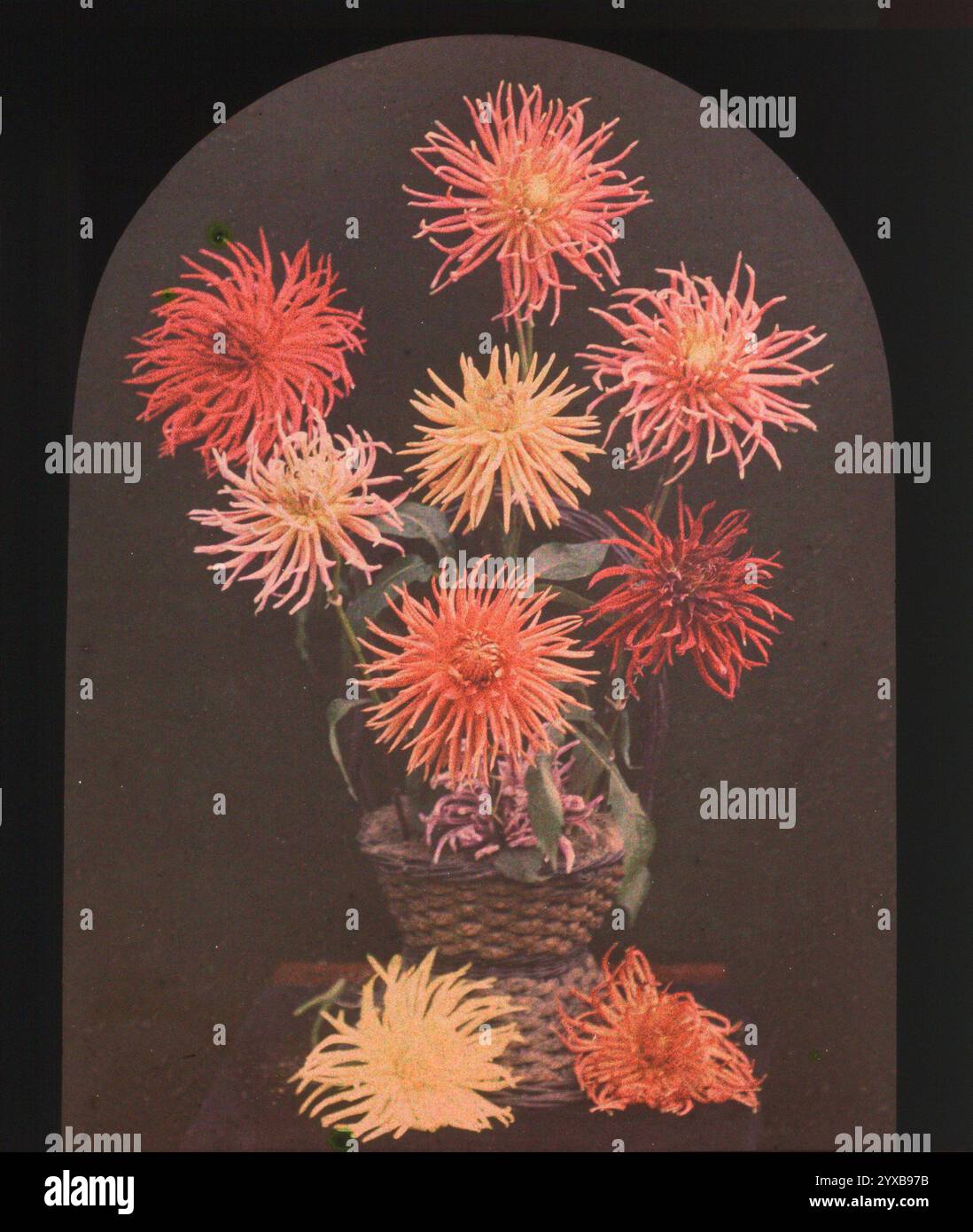 Autochrome plates hi-res stock photography and images - Alamy