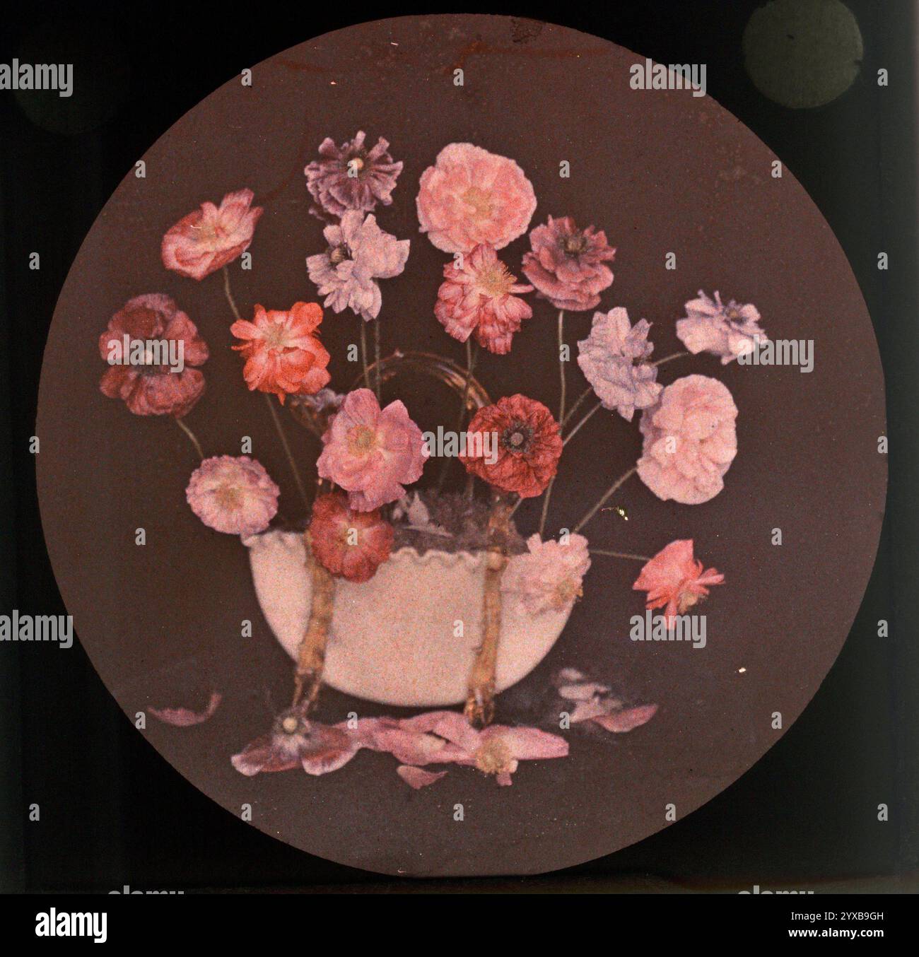 Autochrome plates hi-res stock photography and images - Alamy