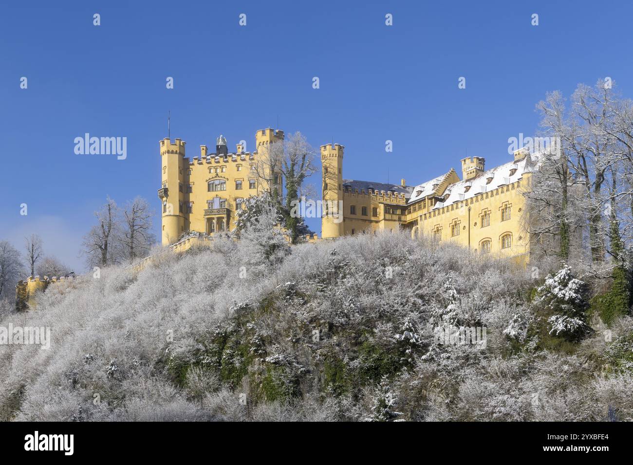 Historic yellow castle surrounded by snow and wintry trees under a clear sky, Hohenschwangau Castle, Schwangau, Koenigswinkel, Ostallgaeu, Allgaeu, Sw Stock Photo