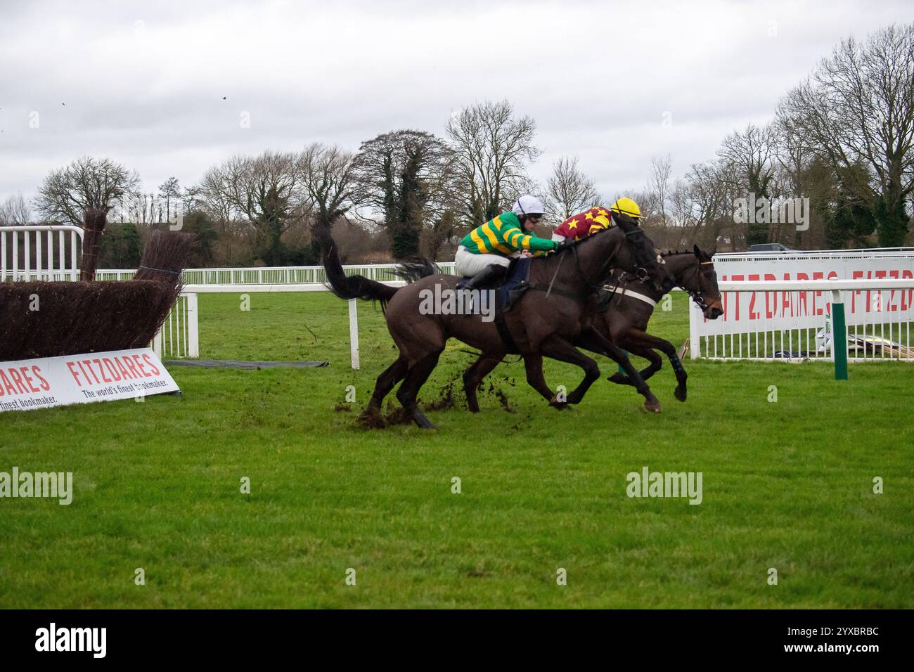 Windsor, Berkshire, UK. 15th December, 2024. HASTHING (No 1) ridden by jockey Richie McLernon (green and yellow silk) clears the last before winning The Fitzdares Telephone Betting Handicap Steeple Chase Class 4 at the Jumps Racing Returns Meeting at Royal Windsor Racecourse in Windsor, Berkshire. Owner Mr John P McManus, Trainer Jonjo & A J O’Neill, Cheltenham, Sponsor Wasdell Group. Credit: Maureen McLean/Alamy Live News Stock Photo