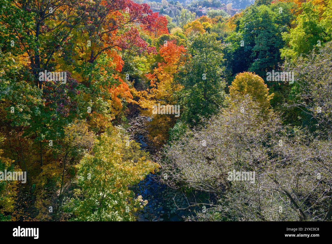Aerial view lush valley in hi-res stock photography and images - Alamy