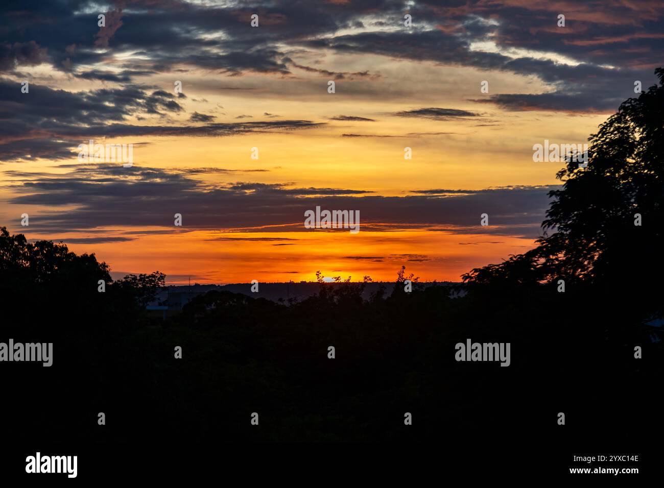 Intense orange color hi-res stock photography and images - Alamy