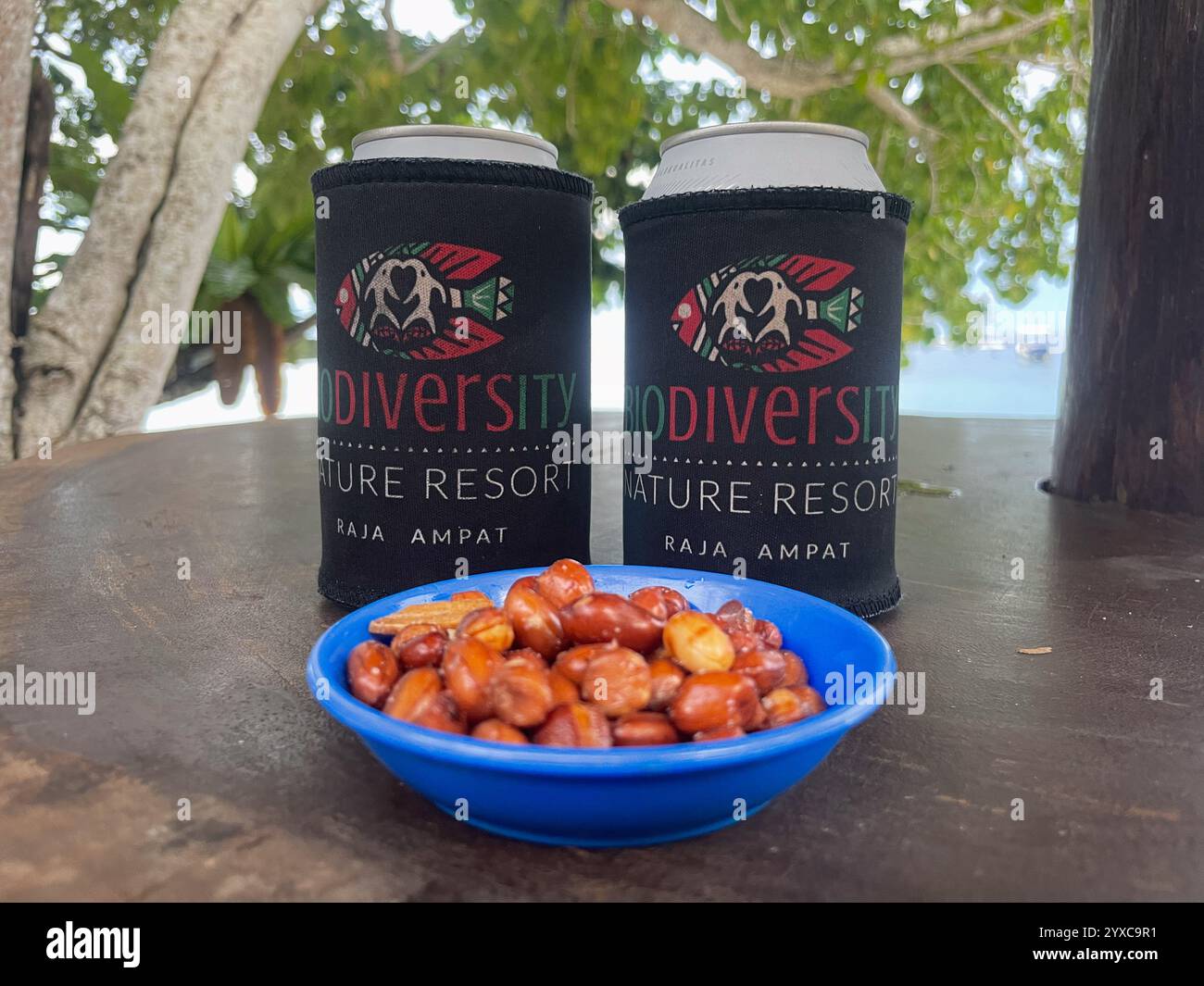 Two cans in 'Biodiversity Nature Resort Raja Ampat' sleeves, with a blue bowl of roasted peanuts on a table, under leafy green trees. - Smartphone Captured Stock Image