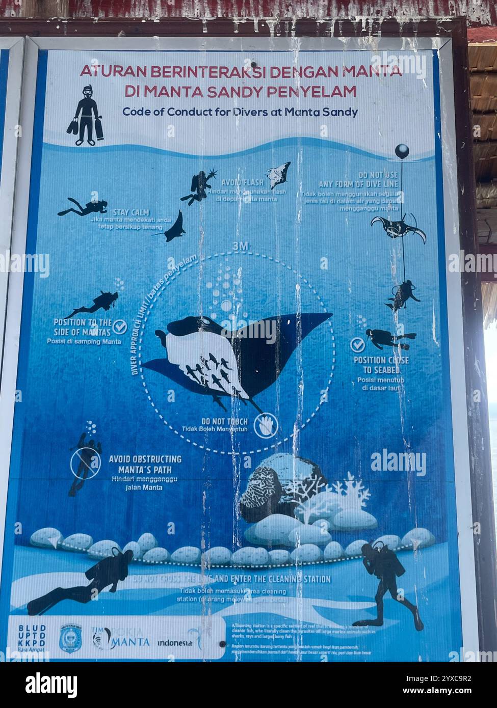 Manta Sandy diver rules: stay calm, no flashes, don't touch mantas, stay close to seabed, avoid obstructing paths, and avoid cleaning stations - Smartphone Captured Stock Image