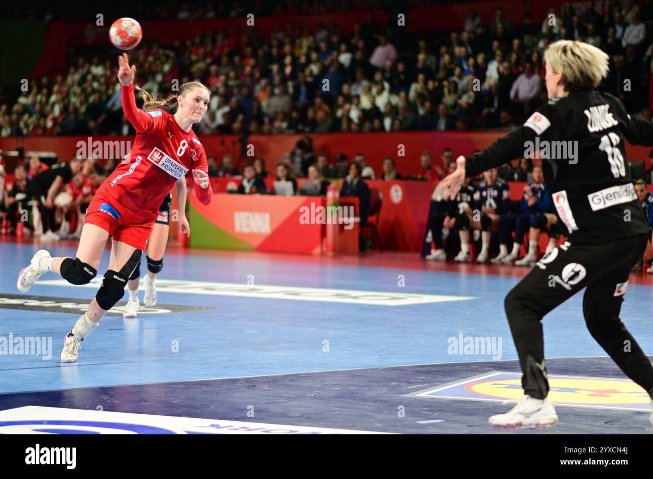 DIY Skate Ramp: Building the Perfect Vert Wall, image size:1300x954