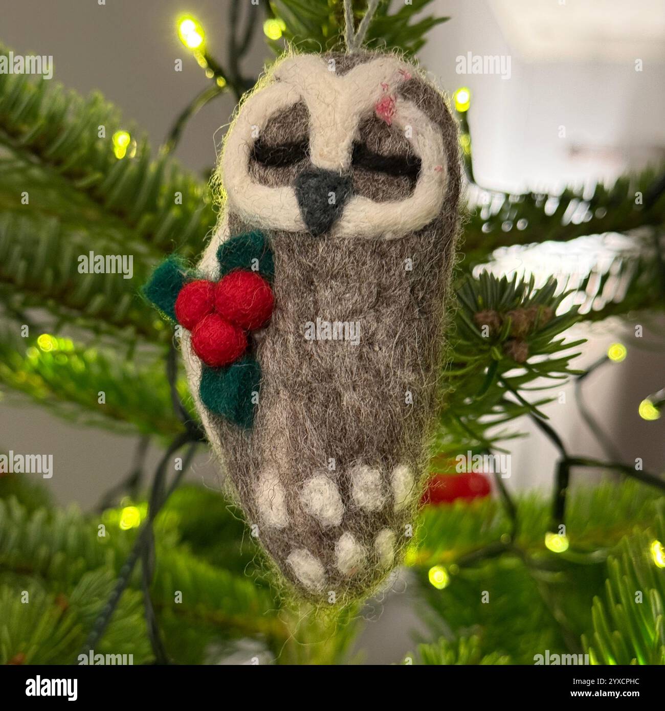 Carol the Owl, felted Christmas tree decoration hanging on a Nordmann Fir Christmas tree - Smartphone Captured Stock Image