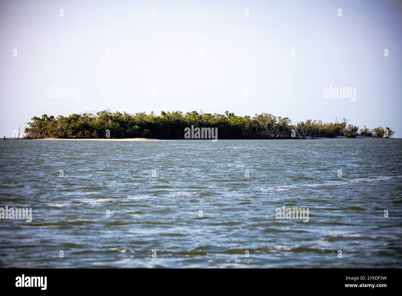 Florida mangroves in Everglades National Park, Florida Stock Photo