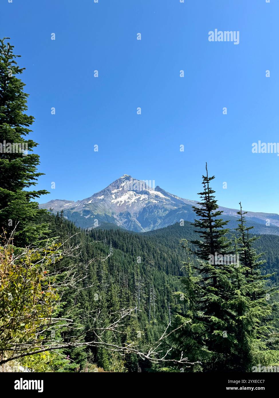 View of Mount Hood on a beautiful day in August - Smartphone Captured Stock Image