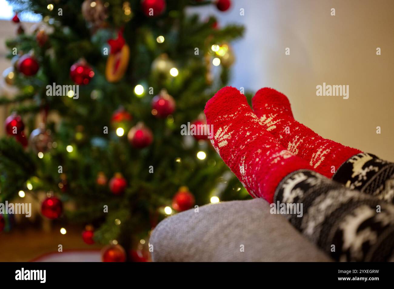 Female legs in Christmas stockings against Christmas tree Stock Photo
