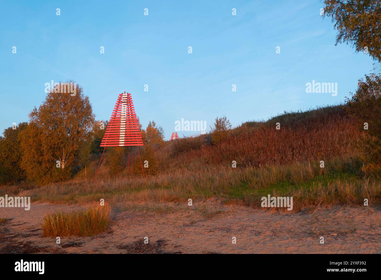 Trees in alignment hi-res stock photography and images - Alamy