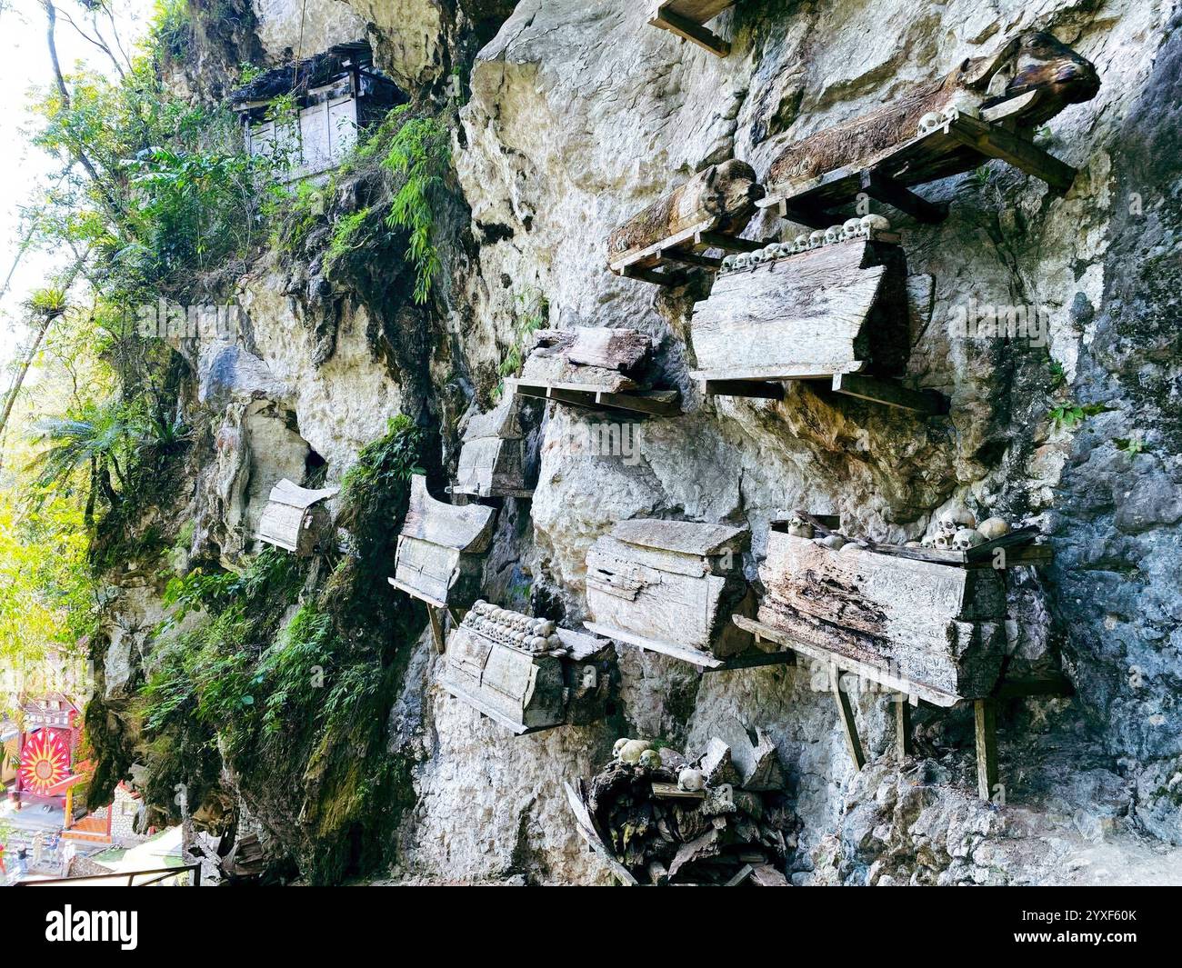  Ancient Toraja Graves, Londa cave, Tana Toraja, Indonesia. Wonderful Illustration 