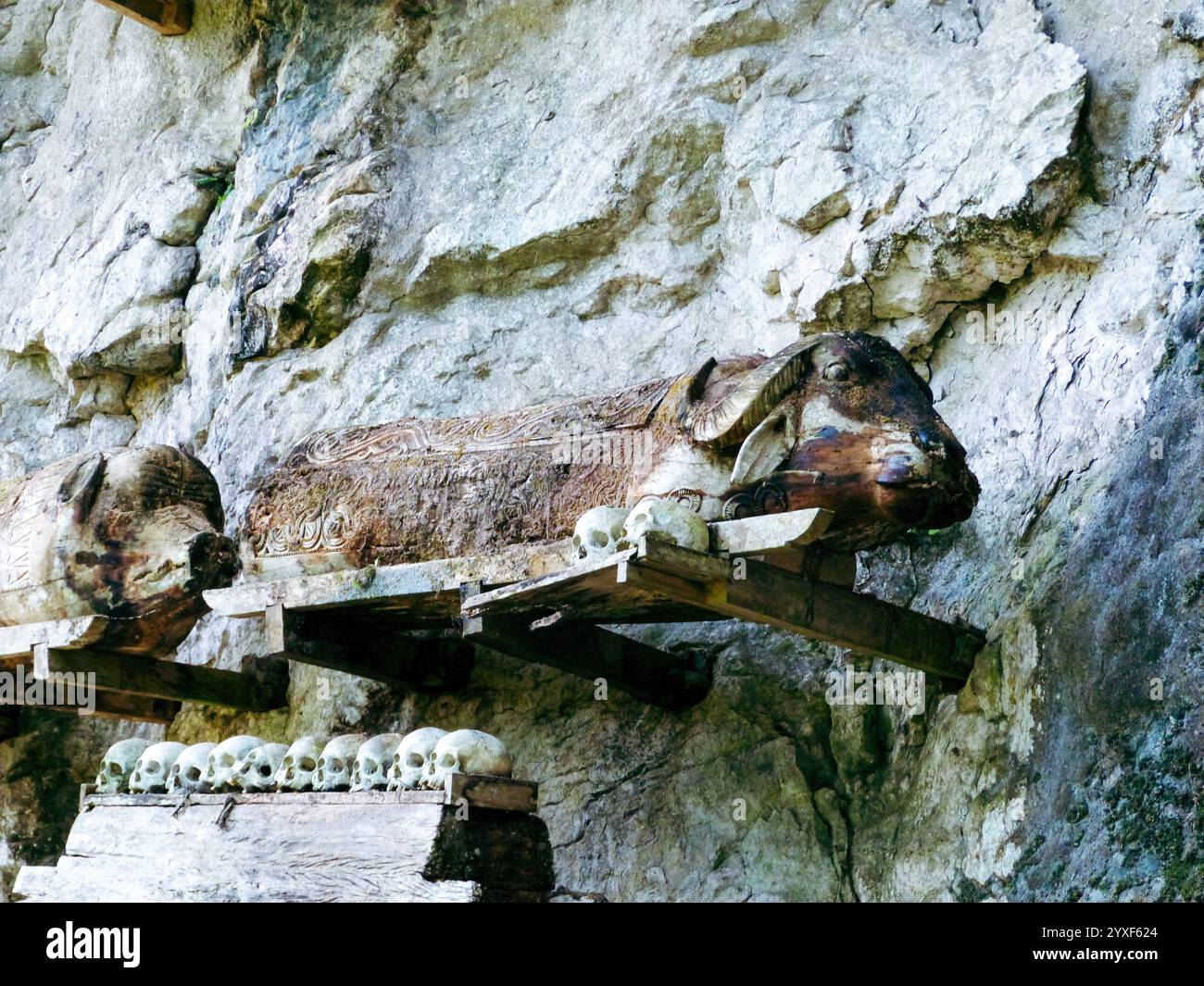  Foto zu Ancient Toraja Graves, Londa cave, Tana Toraja, Indonesia. Wonderful 