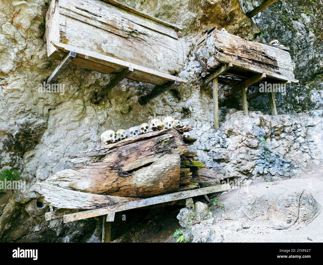  Ancient Toraja Graves, Londa cave, Tana Toraja, Indonesia. Wonderful Motiv 