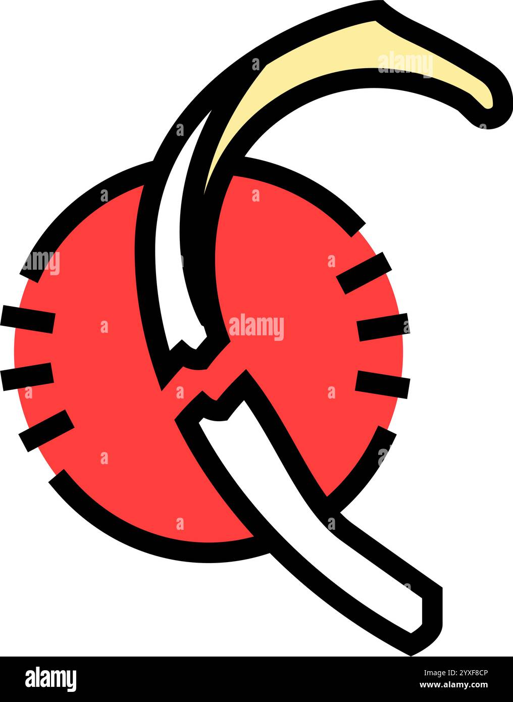 Fractured rib x ray hi-res stock photography and images - Alamy