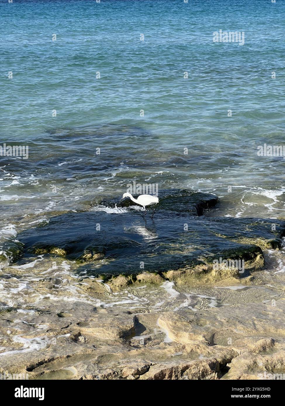 Coastal scene featuring rocky hi-res stock photography and images - Alamy