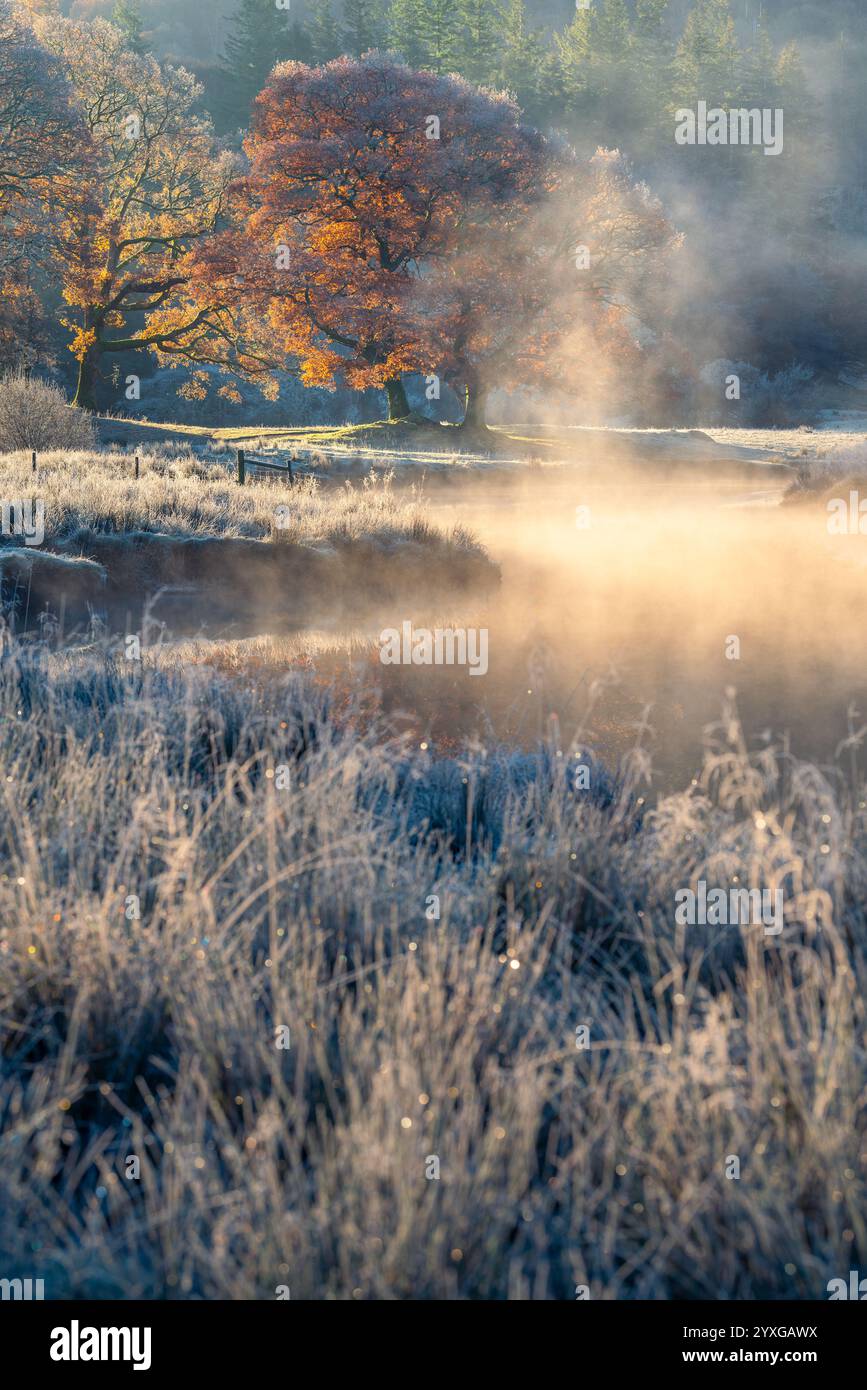 Morning Rising Mist Rising mist hi-res stock photography and images - Alamy