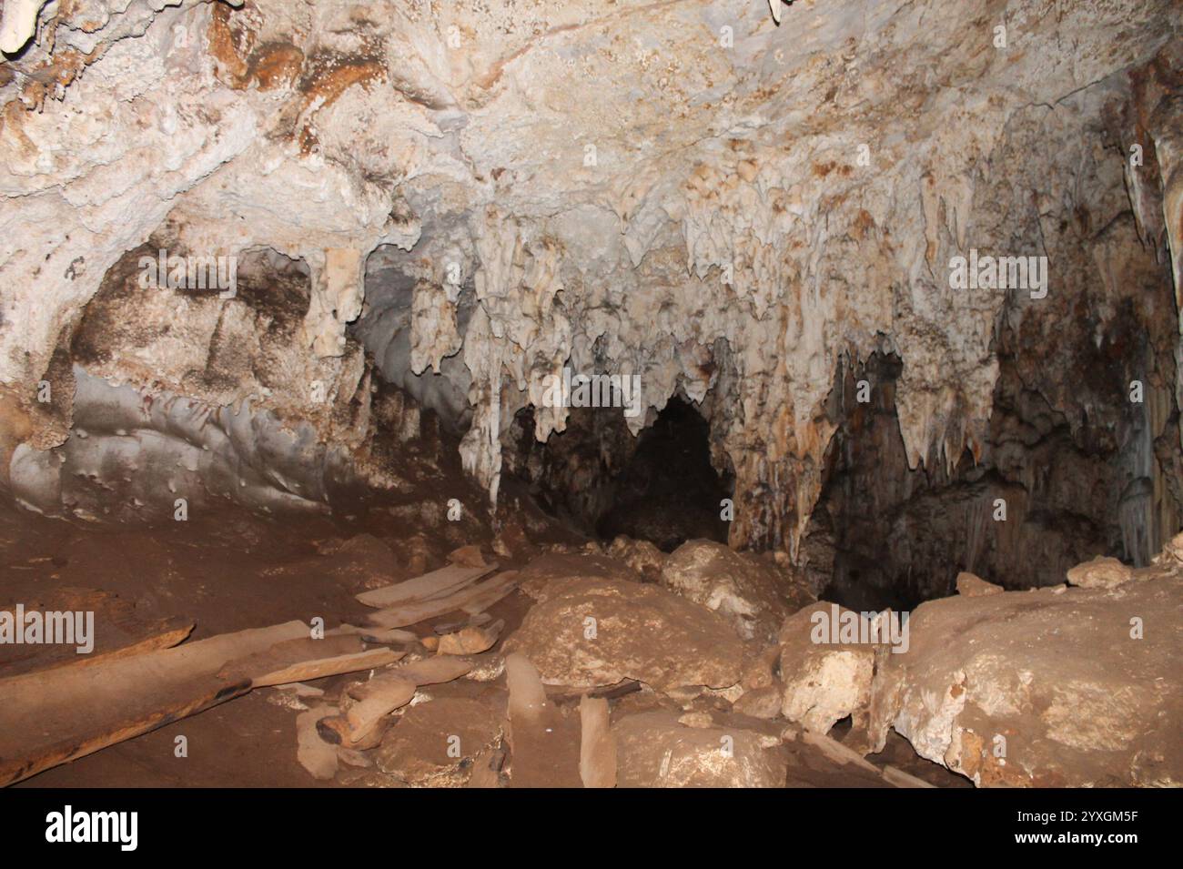 Ancient wooden coffins from prehistoric burial site inside Tham Lod ...