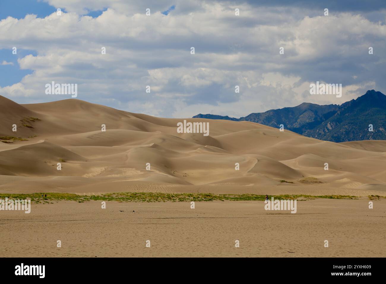 Lonely Person in the Dunes Stock Photo