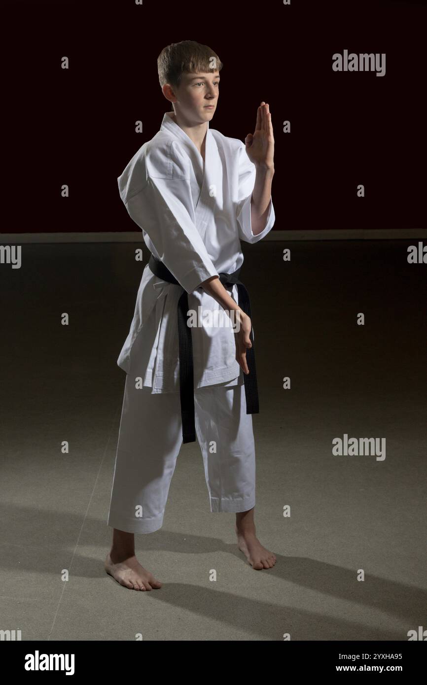 Fifteen year old male teenage karate black belt doing double open hand ...
