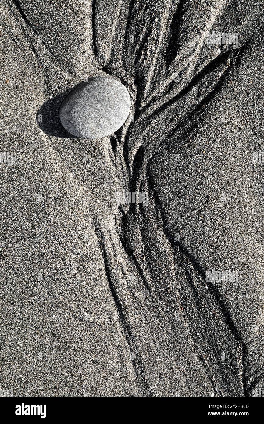 WA2630200......WASHINGTON Rock in the tide zone on Ruby Beach