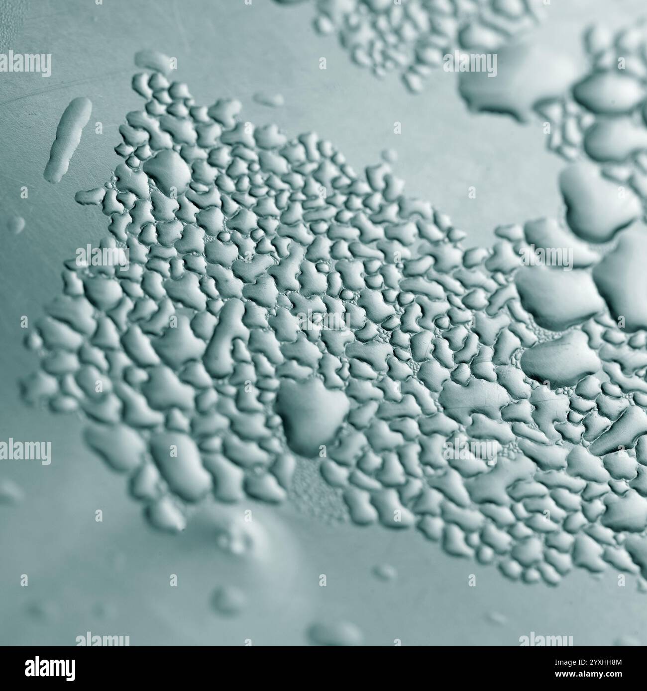 Macro background with water droplets condensation pattern on metal ...